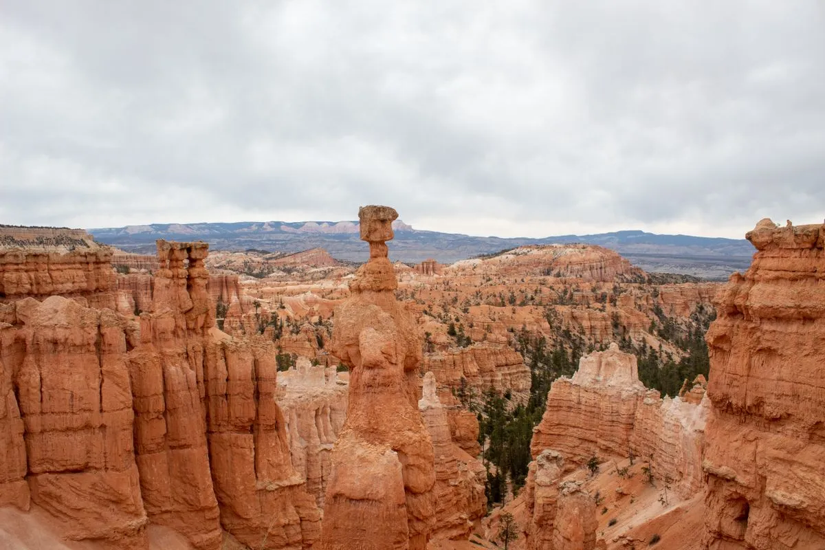 Tausende Hoodoos, geformt von Frost und Wasser über Jahrtausende.