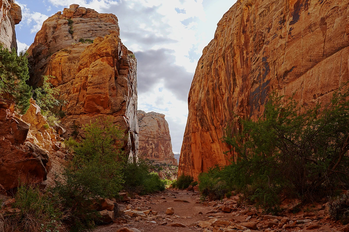 Capitol Gorge, Capitol Reef Nationalpark