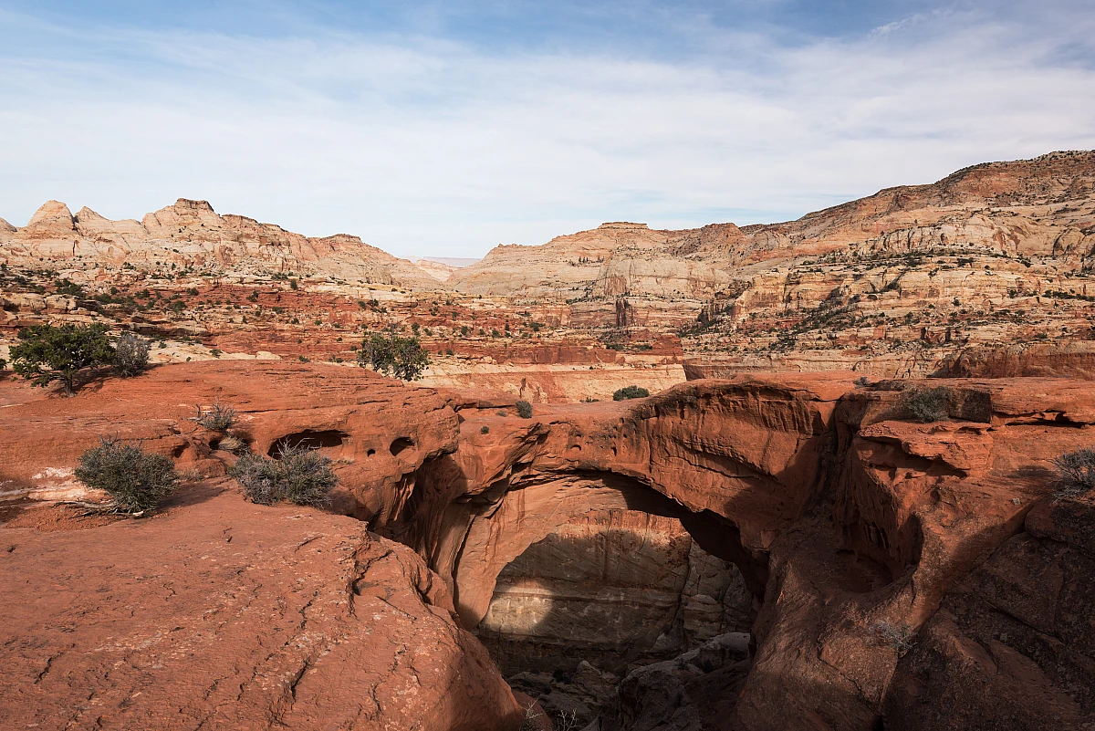 Cassidy Arch, Capitol Reef Nationalpark