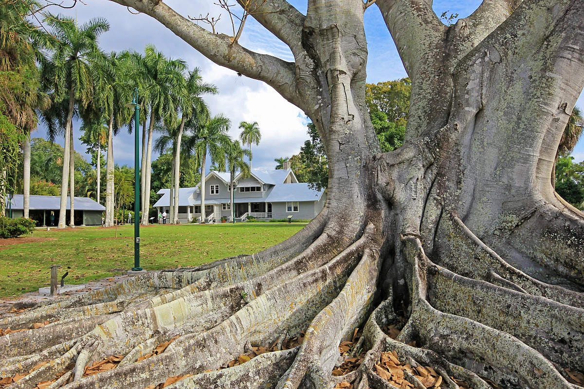 Edison & Ford Winter Estates, Fort Myers