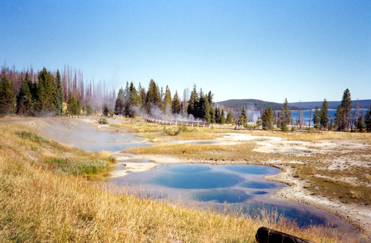 Dampfende heiße Quellen im Yellowstone, das Wasser leuchtet in unwirklichen Farben