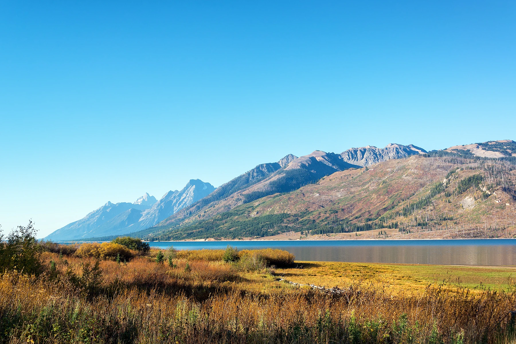 Die zackige Kette der Grand Tetons, gespiegelt im Wasser.
