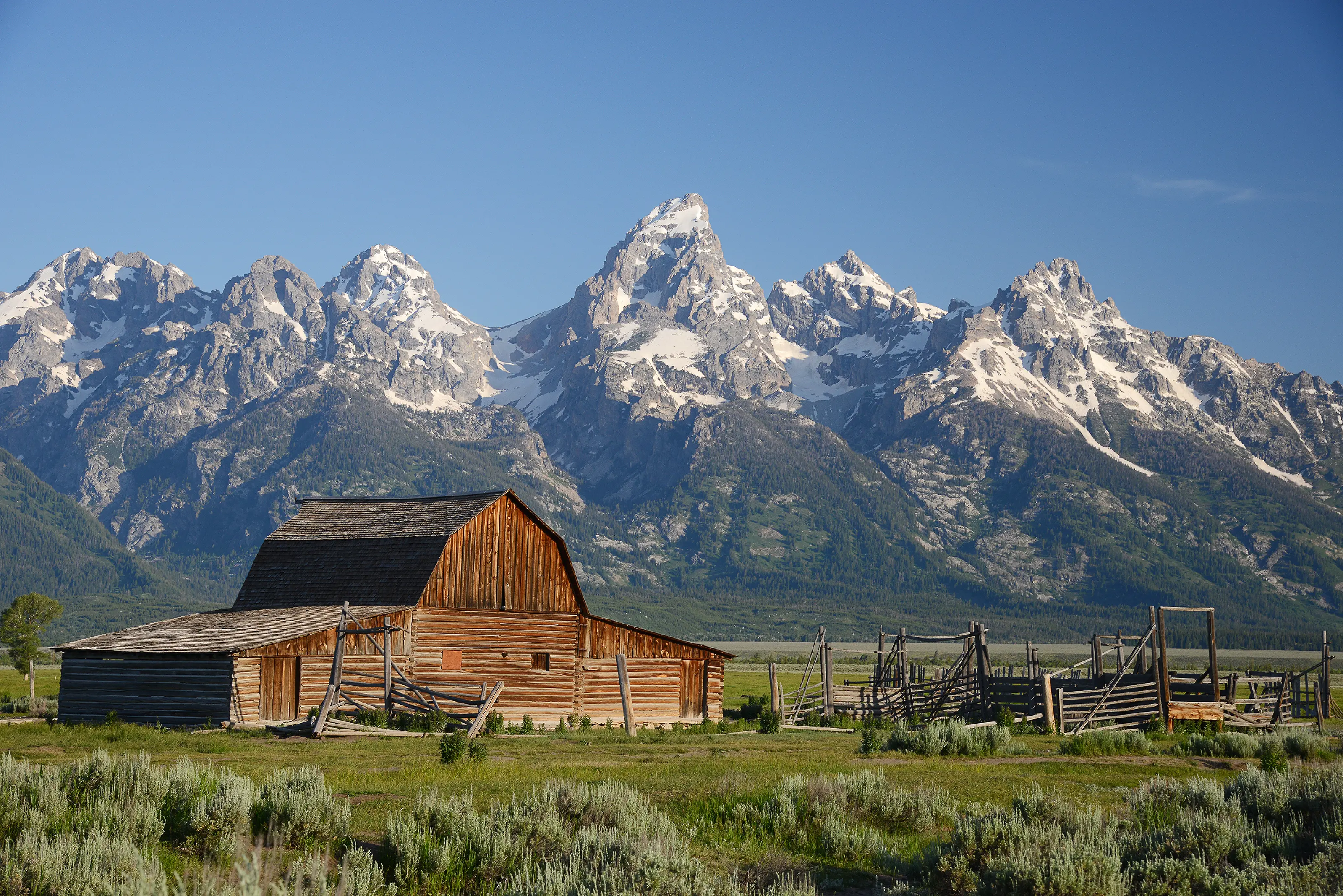 Grand Teton