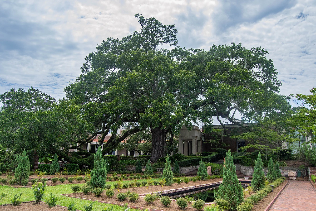 Riverside, Avondale und Cummer Museum, Jacksonville