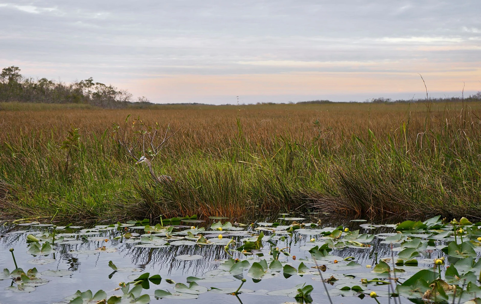 Everglades-Nationalpark, Miami