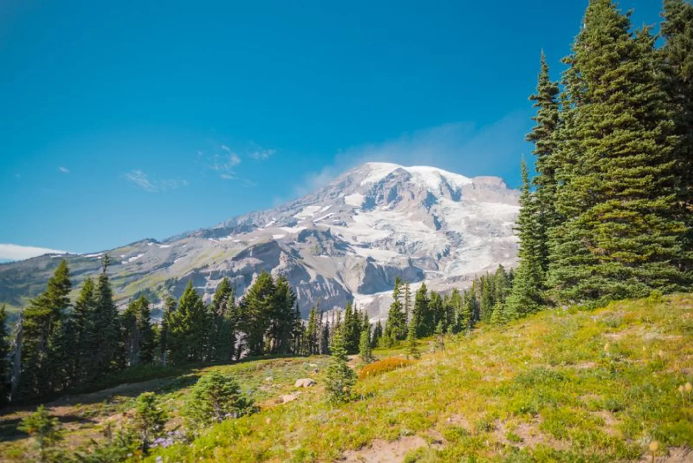 Mount Rainier