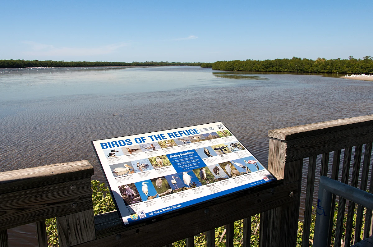 Ding Darling Refuge, Sanibel