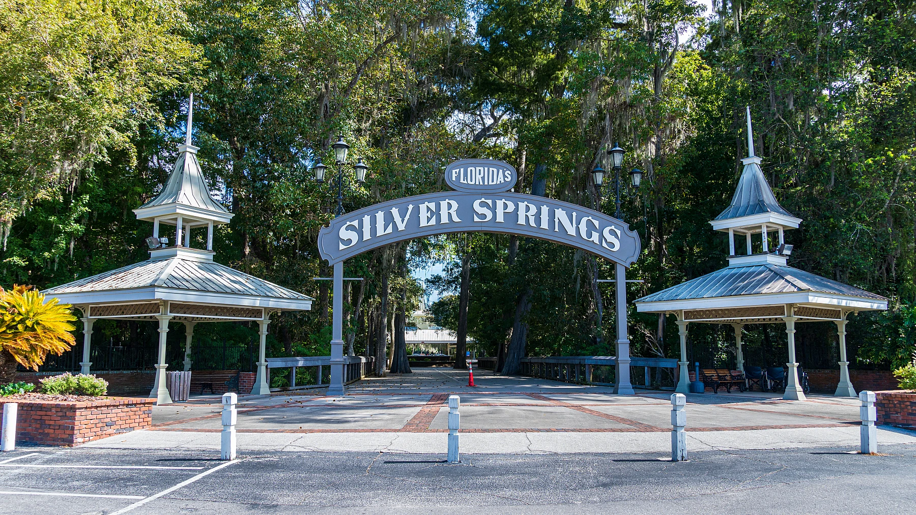 Das kristallklare Wasser von Silver Springs.