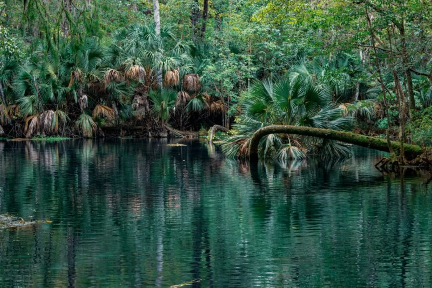 Silver Springs